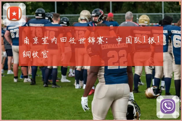 南京室内田径世锦赛：中国队1银1铜收官