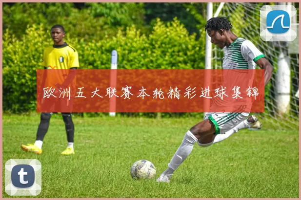 欧洲五大联赛本轮精彩进球集锦