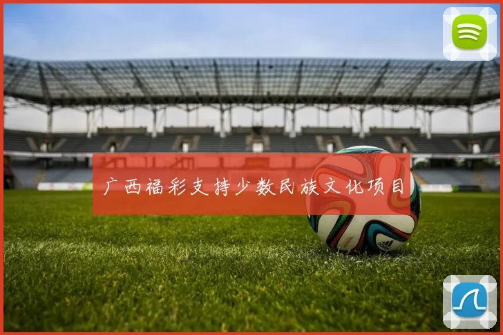 广西福彩支持少数民族文化项目