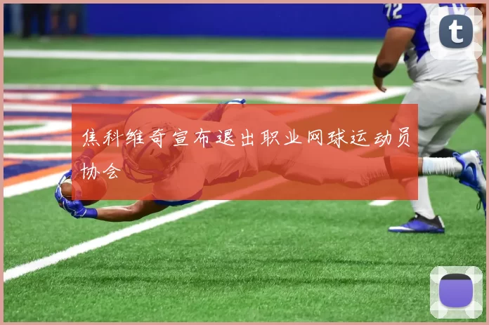焦科维奇宣布退出职业网球运动员协会
