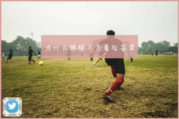 为什么棒球不急着给答案