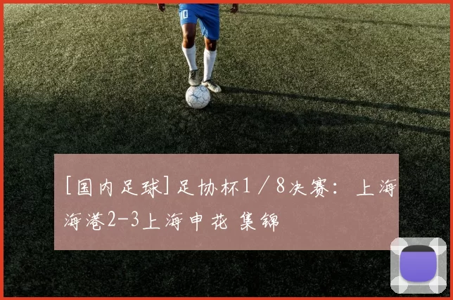 [国内足球]足协杯1／8决赛：上海海港2-3上海申花 集锦