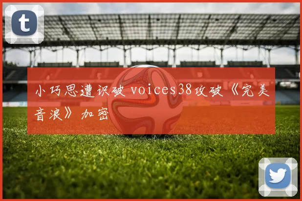 小巧思遭识破 voices38攻破《完美音浪》加密