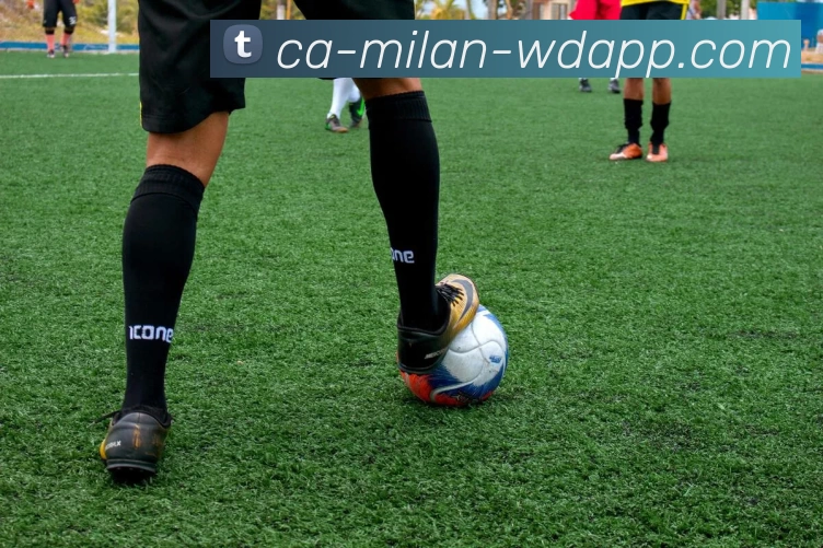 问鼎appAPP 封面图